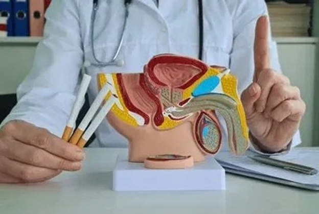 Burning Pleasure, Broken Performance: The Link Between Smoking and Erectile Dysfunction