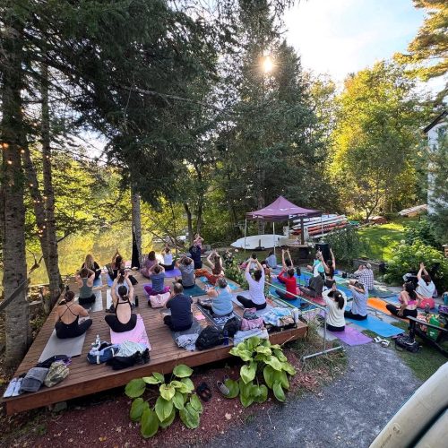How Yoga in Nature Boosts Mental Clarity and Energy More Than Studio Classes